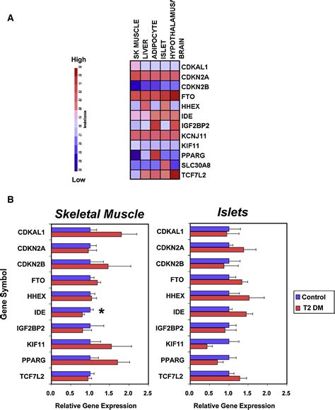 The Emerging Genetic Architecture Of Type 2 Diabetes Cell Metabolism