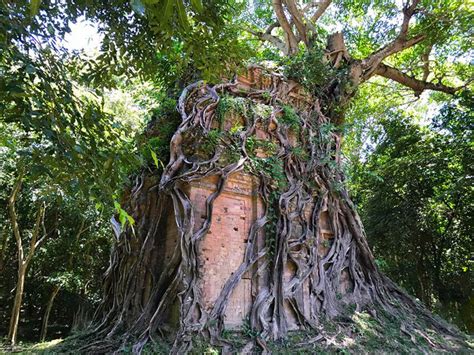 Sambor Prei Kuk Temple Group 1 Day Tour From Siem Reap