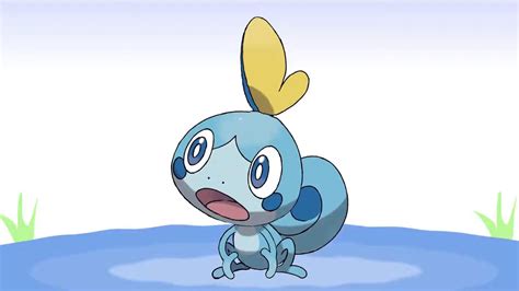 Sobble Wallpapers Top Free Sobble Backgrounds Wallpaperaccess