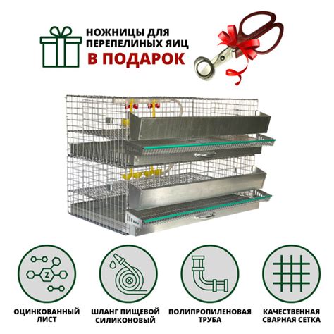 Клетка для перепелов и перепёлок на 60 голов, 2 яруса, по 30 голов в ...
