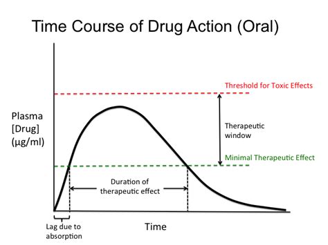 Drug Steady State