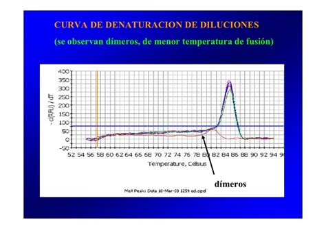 Pcr Y Electroforesis Biociencias 2010 Pdf