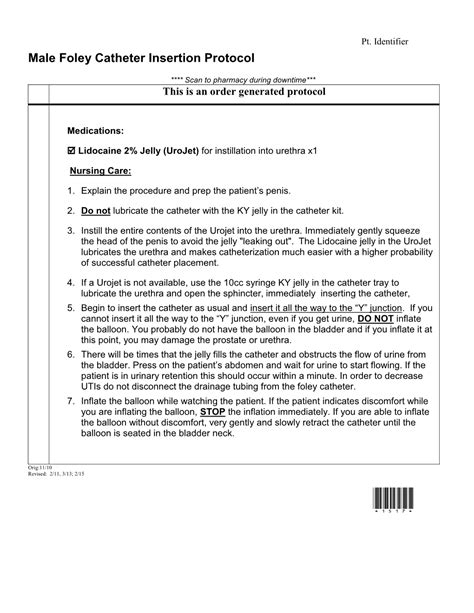 Male Foley Catheter Insertion Protocol - DocsLib