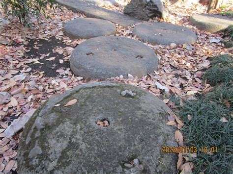 石庭の森緑地 江戸時代から続く屋敷林跡地 練馬区大泉学園・「もんじゃ焼きお好み焼き わらべ」のつぶやき