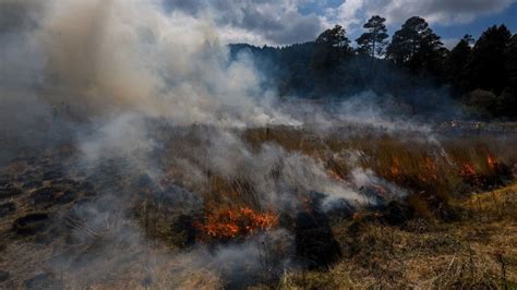 México Tiene 33 Incendios Forestales Activos Con 4 Mil 278 Hectáreas