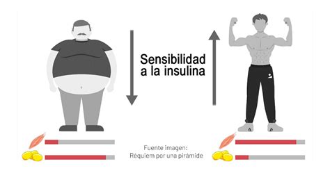 Resistencia a la insulina y flexibilidad metabólica Ismael Galancho