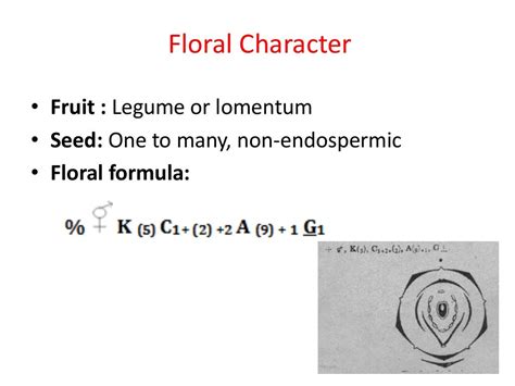 Floral Formula Class 11 Biology