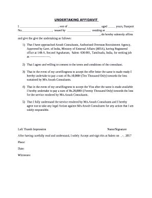 Affidavit Of Undertaking Complete With Ease AirSlate SignNow