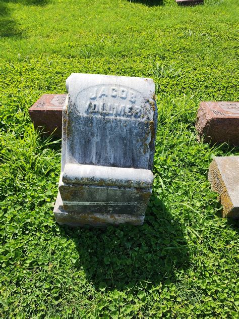 Memorial and Obituary for John Vollmer Mering 12