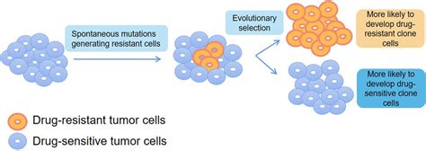 Frontiers Single Cell Analysis Technologies For Cancer Research From