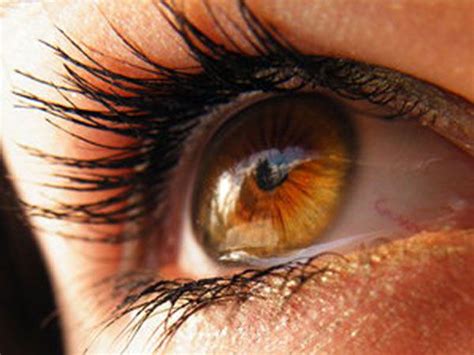 Los Colores De Ojos Más Raros Del Mundo Rare Eye Colors Amber Eyes Eye Color