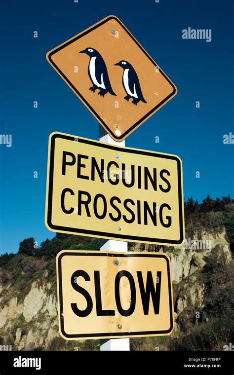 Penguin Crossing Sign In Oamaru New Zealand Stock Photo Alamy