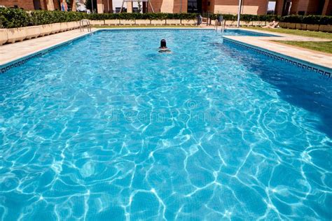 Mujer Nadando En Una Piscina Imagen De Archivo Imagen De Deslumbrante