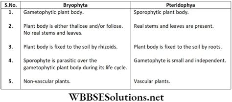 Neet Foundation Biology Chapter 3 Diversity In Living Organisms Short Answer Questions Wbbse