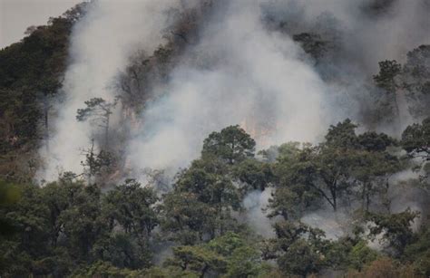 R O Blanco Solicita Apoyo A Reo Para Combatir Incendio Forestal