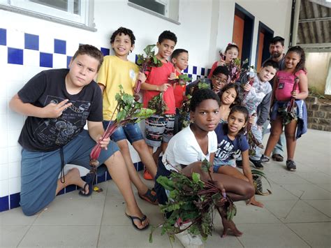 Projeto Integral Escola Osvaldo Galupo A Super Colheita