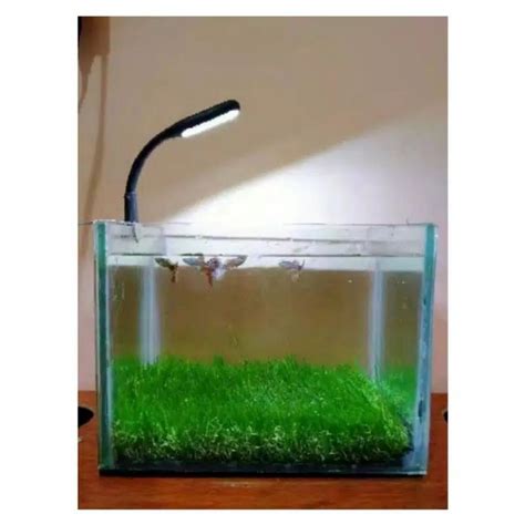 Jual Lampu Aquarium Kecil Led Lampu Soliter Lampu Cupang Shopee