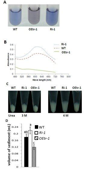 Iodine Staining And Gelatinization Properties Of The Starch In The Rice