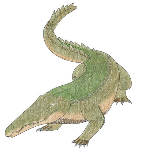 Diplocynodon By Suchomimus62 On Deviantart