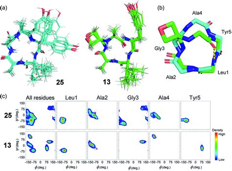 A Noe Restrained Molecular Dynamics Simulations Of Clagay 25 In