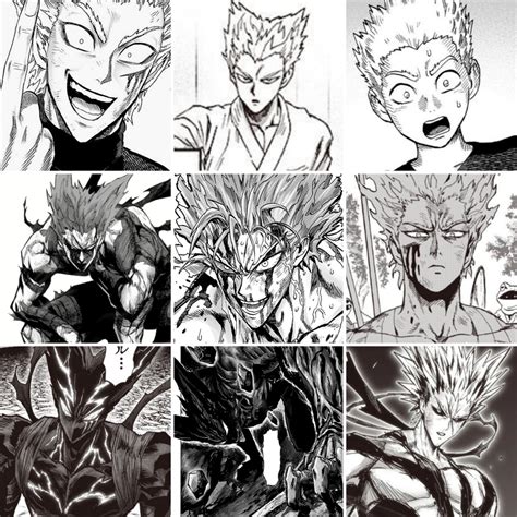 The Evolution Of Garou Ronepunchman