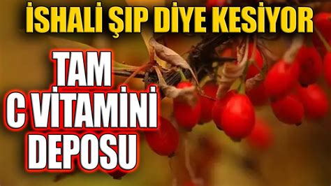 Shali P Diye Kesiyor Tam C Vitamini Deposu Youtube