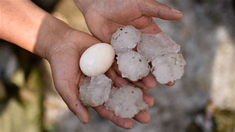 The True Story Of How Gorilla Hail Got Its Name