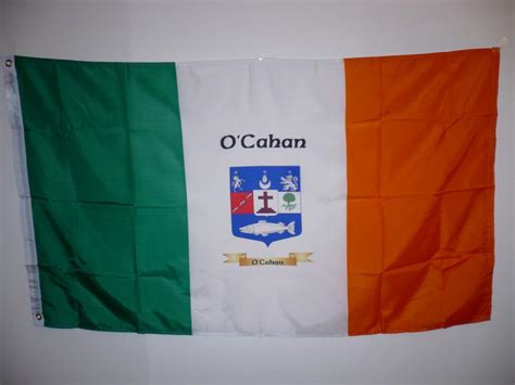 Ireland Family Crest Flag (5*3)(Shield Only)