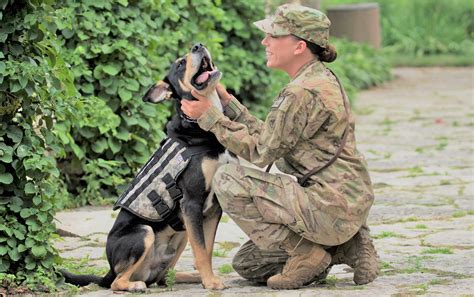 K9s For Warriors - Veterans and PTSD - Four River Behavioral Health