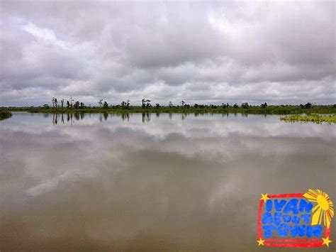 Agusan del Sur: Agusan Marsh Wildlife Sanctuary | Ivan About Town