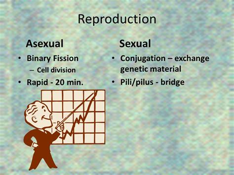 Part I Chapter 18 Archaebacteria And Eubacteria Ppt Download