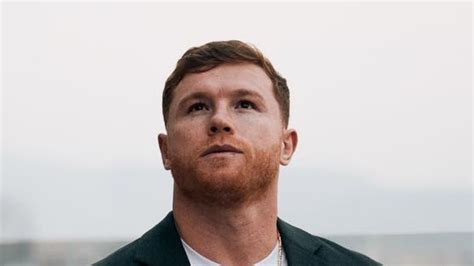 Conoce Qui Nes Son Todas Las Mam S De Los Hijos Del Canelo Lvarez