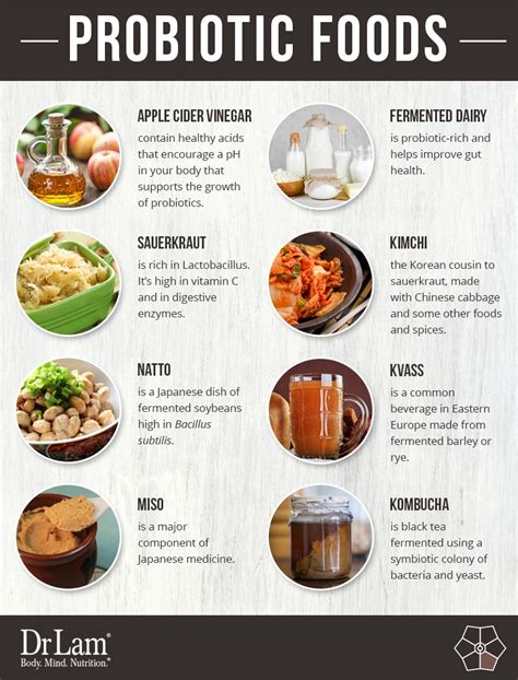 List Of Probiotic Foods