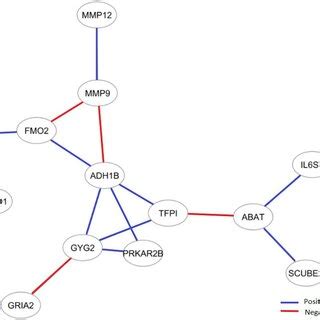 Co Expression Network Of The Differentially Expressed Genes Mutual