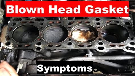 Symptoms Of A Bad Head Gasket Youtube