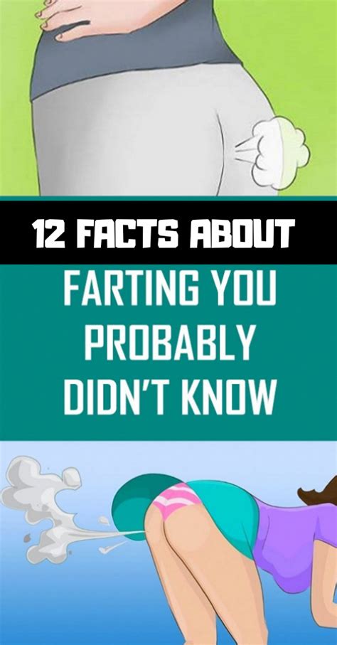 12 FACTS ABOUT FARTING YOU PROBABLY DIDNT KNOW OddMeNot