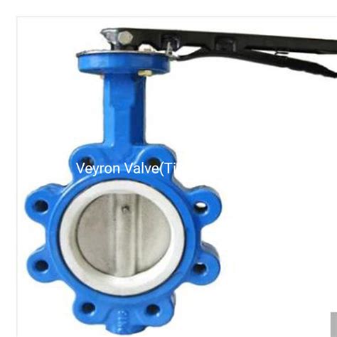 Pn Di Ansi Dn Inch Lug Type Ptfe Butterfly Valve Din Jis