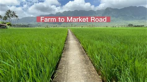 Farm To Market Road In Southern Leyte Youtube