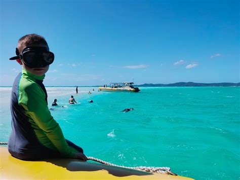 Whitehaven Beach Snorkeling | Whitsunday Islands Snorkeling 2023 ...