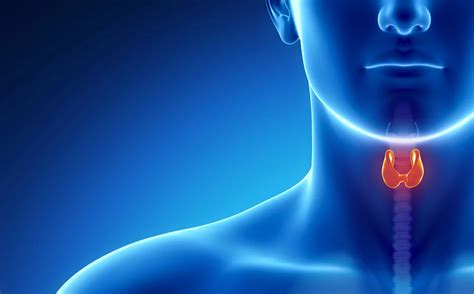 The Role of Iodine in Preventing Thyroid Deficiency