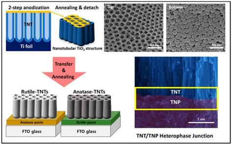 Coatings Free Full Text Synergistic Design Of Anataserutile Tio