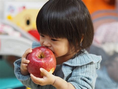 【栄養士が教える！】離乳食後期におすすめ！りんごを使ったレシピ3選 冷凍幼児食 Tot Plate