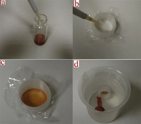 A The Membrane Solution B The Double Open Ended Xrf Sample Cup Along