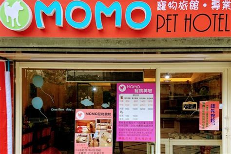 Momo寵物旅館｜新北市三重區｜petoplay 寵物情報樂園