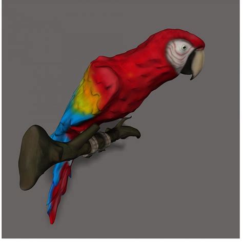 Scarlet Macaw Y6 Photograph By Les Classics Fine Art America