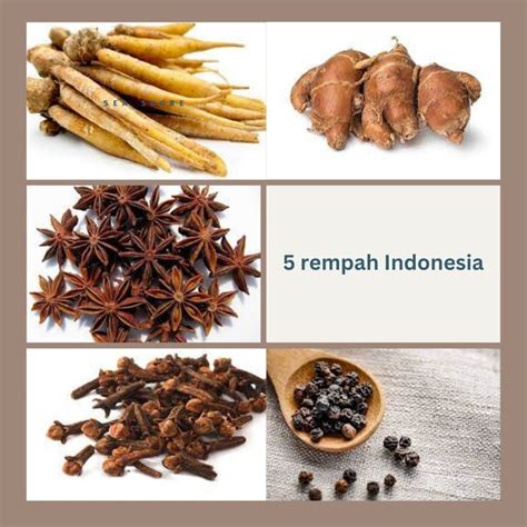 5 Bumbu Rempah Indonesia Part 1