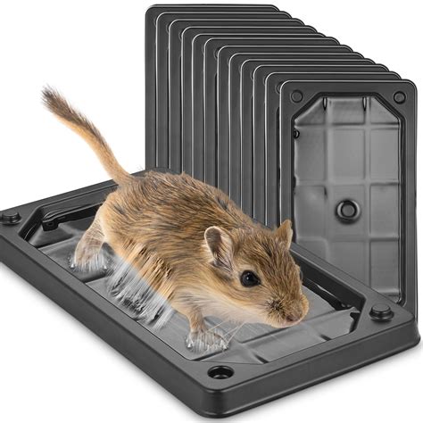 Mouse Traps Indoor, Glue Traps for Mice and Rats, Super Heavier Rat Traps Large Size Pre-Scented ...