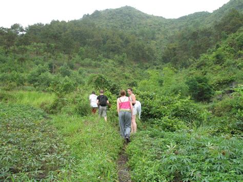 Cát Bà National Park offers the best trekking options