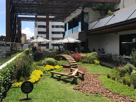 Le Café Plaza Etú — Recursos Verdes Jardines Verticales Y Muros