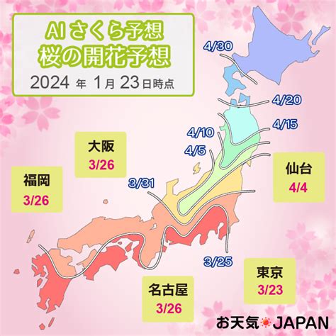 2024年の「aiさくら予想」を発表 西～東日本で平年並みの開花に。開花一番乗りは321に高知、宮崎と予想 Sbs気象情報